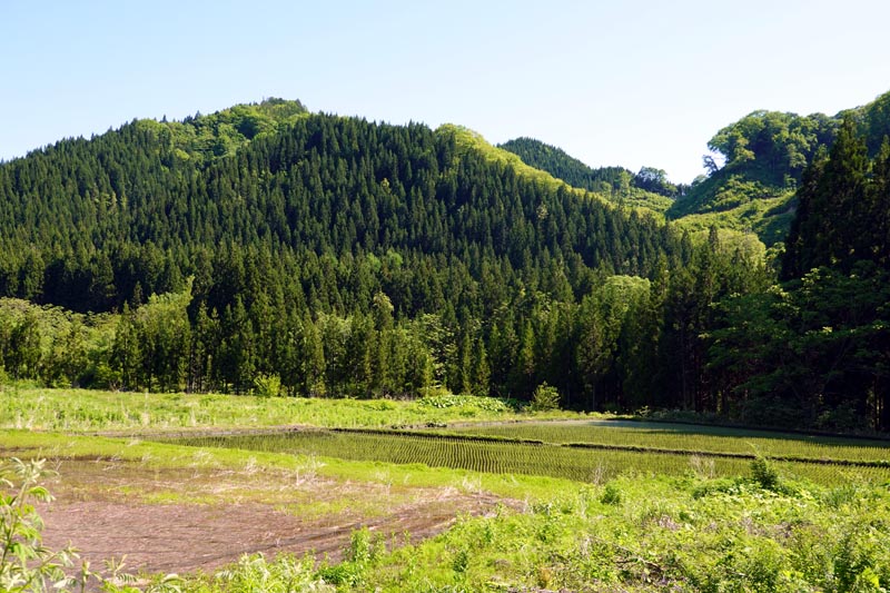 山間の景色