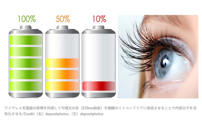 老化による衰え目の治療