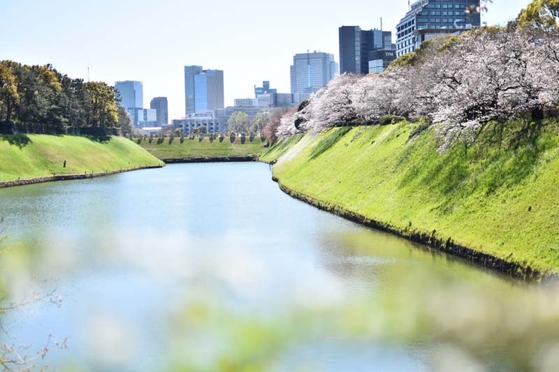 皇居のお堀