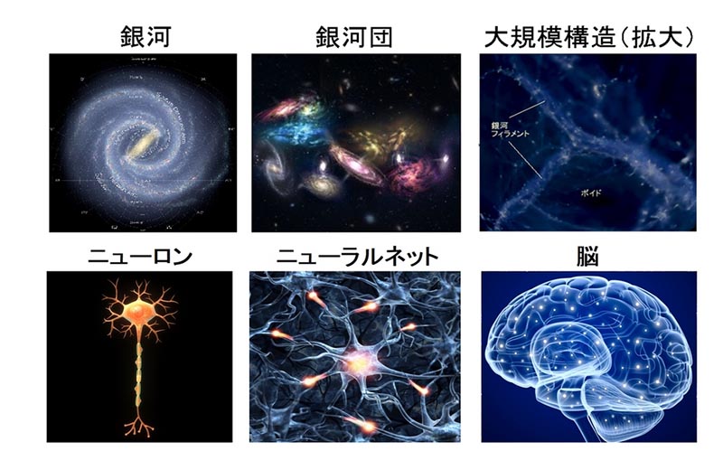 脳と宇宙