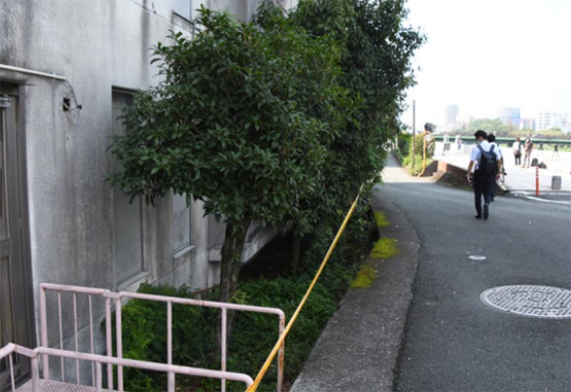 熊本大学