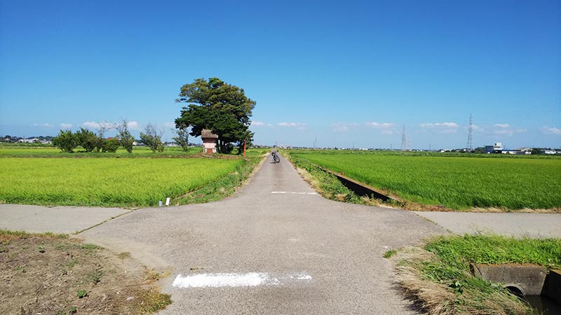 田舎の風景