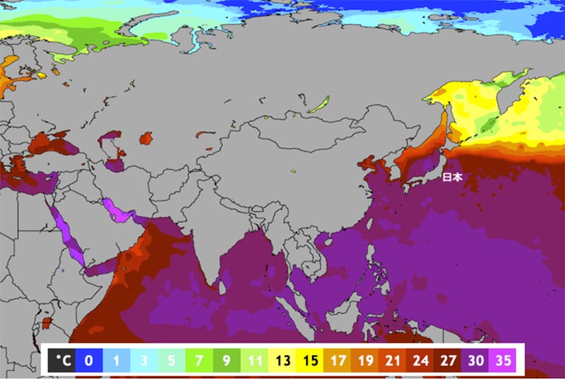 世界の異常海水温