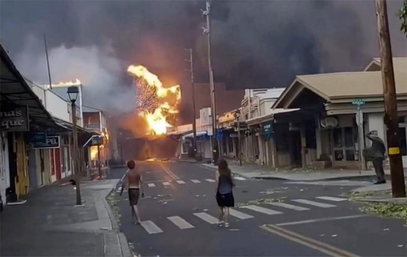 マウイ島の山火事