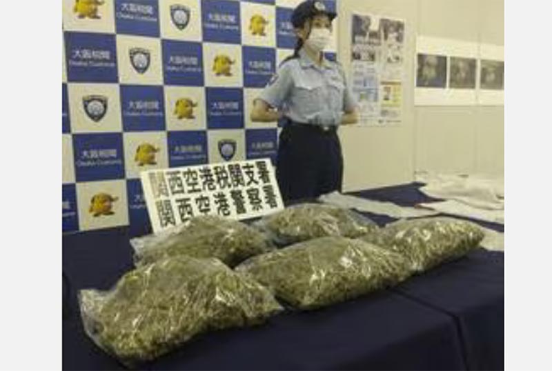 押収された大麻