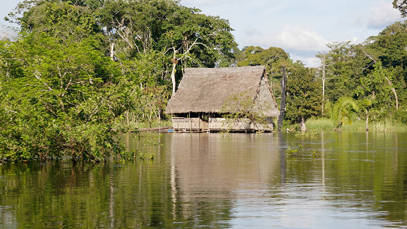 アマゾンの奥地の生活