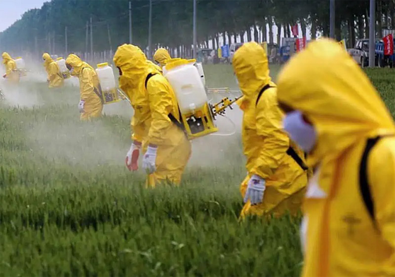 野菜にmRNAを噴霧する