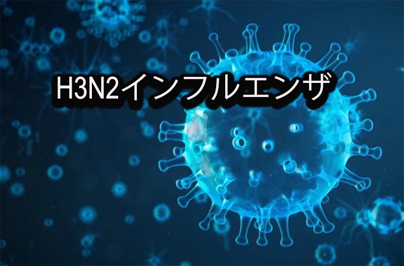 H3N2インフルエンザウイスル