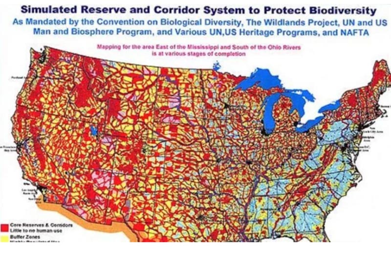 アメリカンドリームはどこへ？