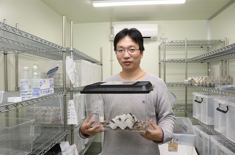 コオロギを利用したワクチン開発