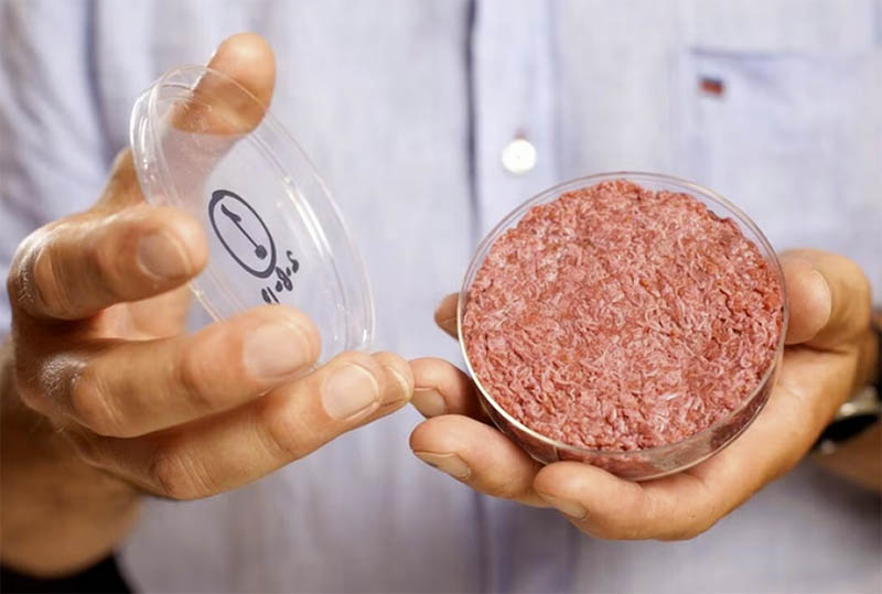 人好肉・培養肉