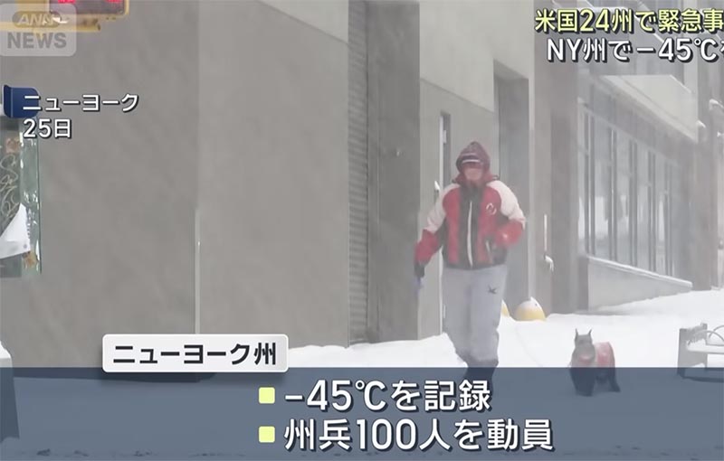 アメリカの大寒波