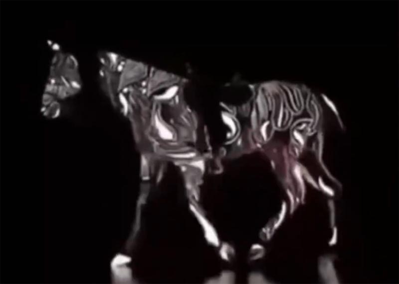 馬はどっちを向いて歩いてる？