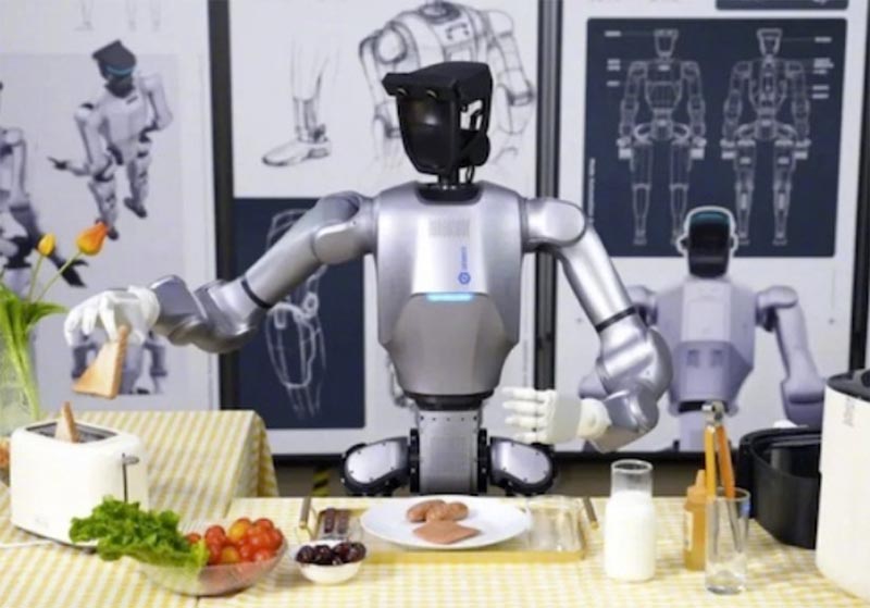 ヒューマノイドロボット