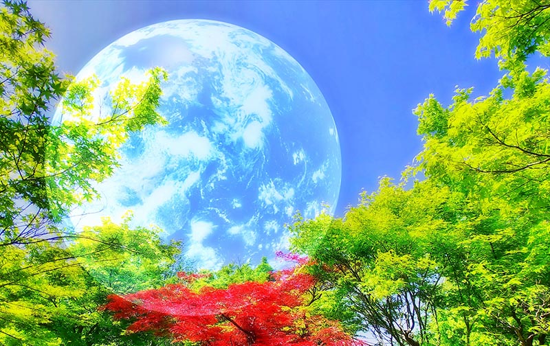 新生地球の子ども達