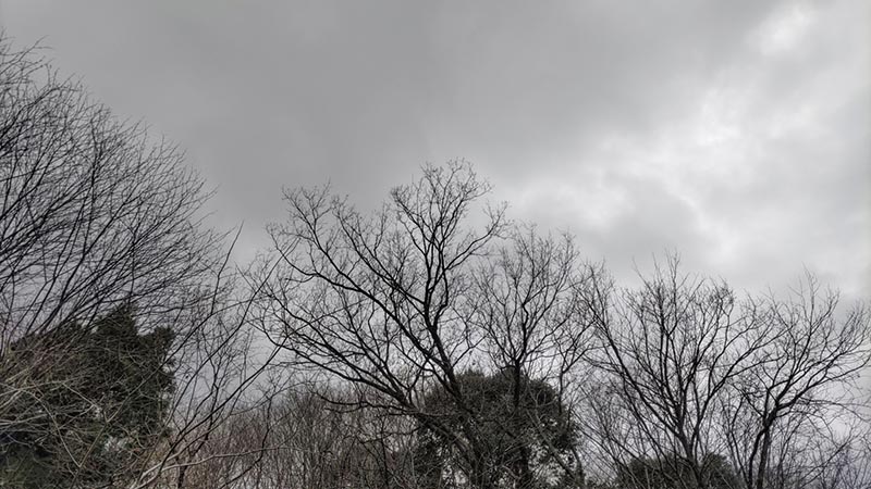 重苦しい雰囲気