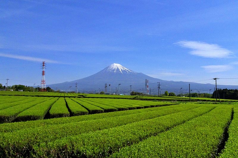 富士山