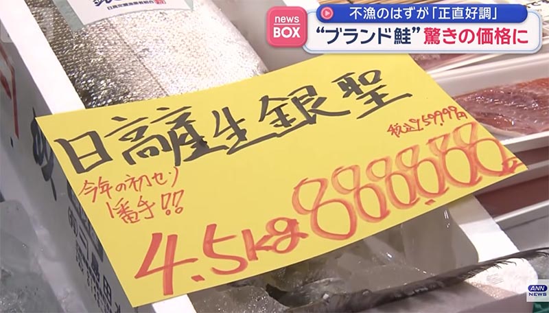 サケ1本88万円