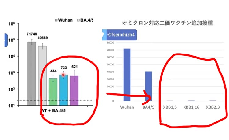 詐欺グラフ