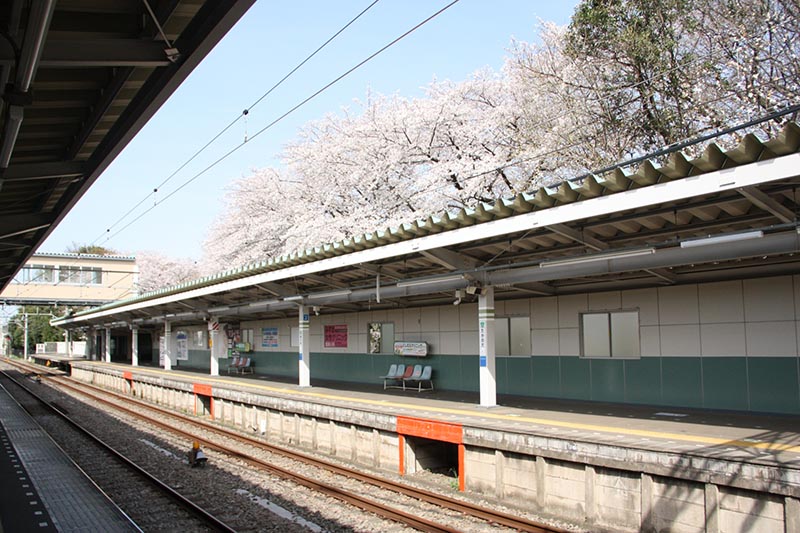 桜が見える駅のホーム