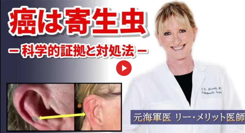 鴈は寄生虫が原因で起こる