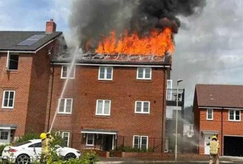 燃え上がる太陽光阿ネル