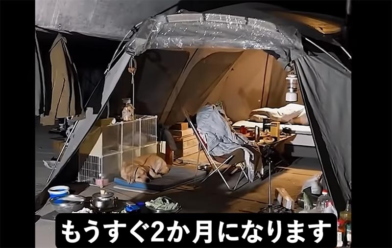 中国の若い人々